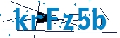 recaptcha