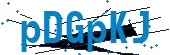 recaptcha