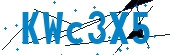 recaptcha