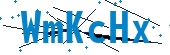 recaptcha